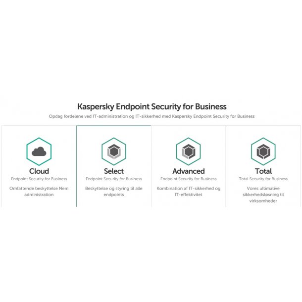 Kaspersky IT-sikkerhed til virksomheden