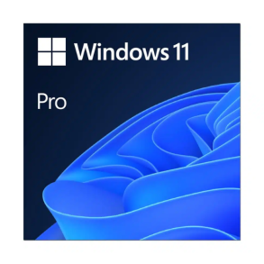 Microsoft Windows 11 Professional styresystem til erhverv Win11 Pro - ESD