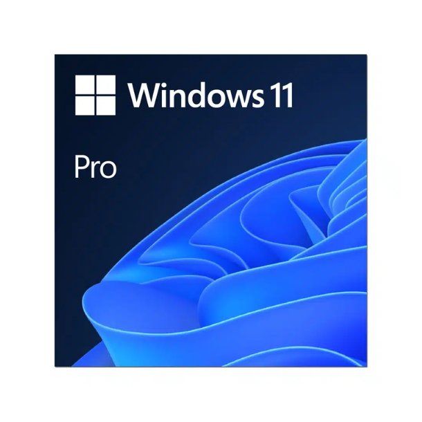 Microsoft Windows 11 Professional styresystem til erhverv Win11 Pro - ESD