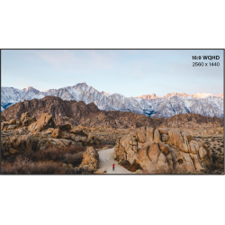 Neovo 24" WQHD 5ms skrm med hjtaler 2560 x 1440 oplsning USB-C power