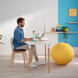 Ergonomisk Leitz Ergo Cosy behagelig siddepude sdepude designet til sund kropsholdning flere farver
