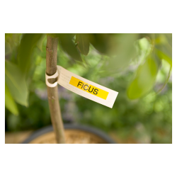 Brother TZe-tape, laminerede - Sort tekst p Klar tape 36mm, TZE-161 - TILBUD 