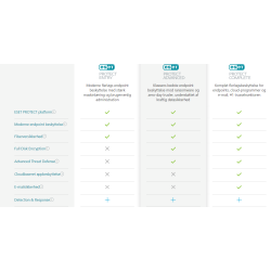 IT sikkerhed Eset Support og Maintenance Service