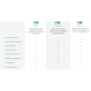 IT sikkerhed Eset Support og Maintenance Service